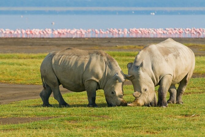 5-Day Masai Mara Lake Nakuru and Naivasha Small-group Safari Tour - What the $929.20 price really buys