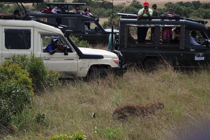 5-Day Private Tour in Kenya's Best Game Parks - Is $1,425 per person good value?
