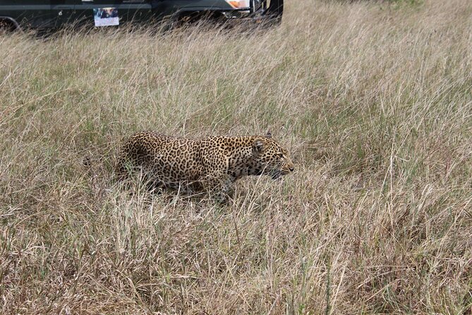 5-Day Private Tour in Kenya's Best Game Parks - Lake Nakuru brings birds and rhinos on day two
