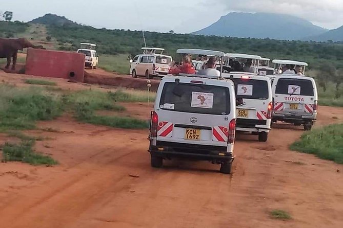 5 Day Tsavo [East & West] Amboseli & Taita Wildlife Park Safari Expedition - Day 2: Mzima Springs and the road to Amboseli