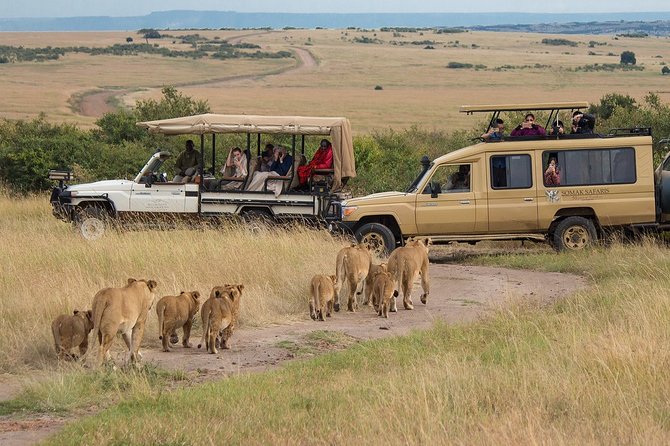 5 Days/4 Nights Kenya Safari - Day 5: Amboseli at sunrise, then back to Nairobi