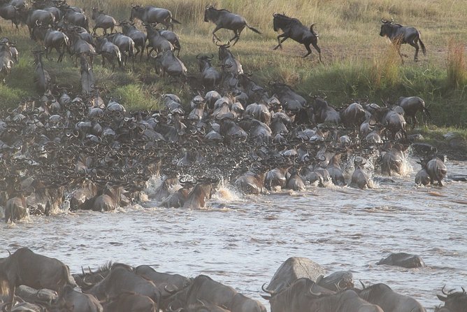 5 Days/4 Nights Kenya Safari - Day 1: Nairobi to Maasai Mara through the Rift Valley