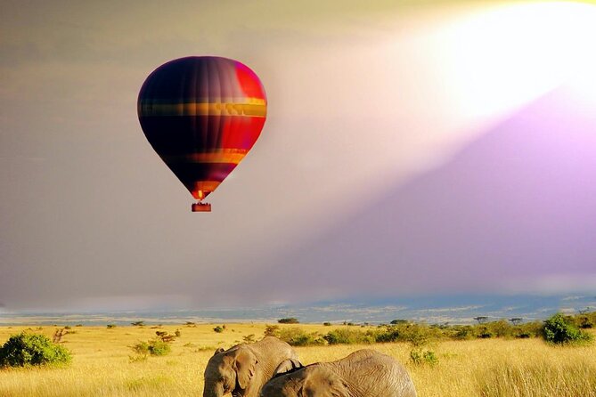 5 Days 4 Nights Lake Naivasha & Masai Mara Luxury Kenya Safari - Why this short safari works