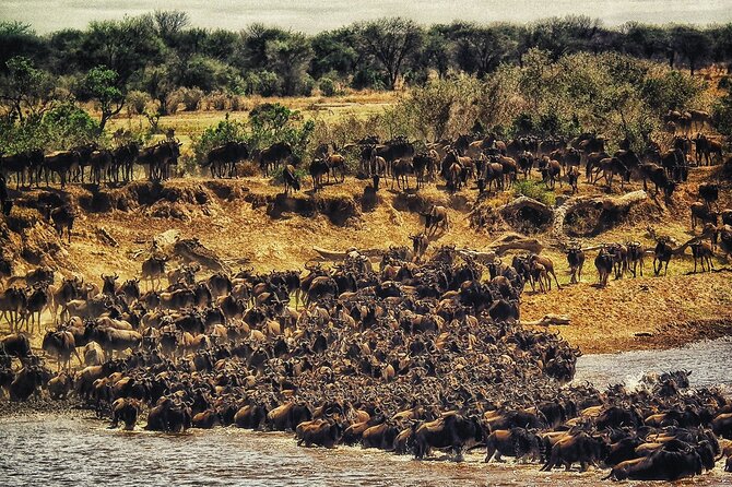 5 Days Budget Safari To Masai Mara, Lake Nakuru and Lake Naivasha - Day 4: Rhinos, hippos, and Crescent Island
