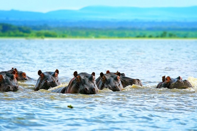 5 Days Hell's Gate, L. Naivasha, L. Nakuru & Masai Mara Luxury Safari - Key points before you book