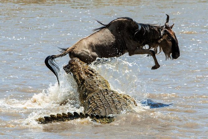 5 Days Hell's Gate, L. Naivasha, L. Nakuru & Masai Mara Luxury Safari - Why this five-day route works