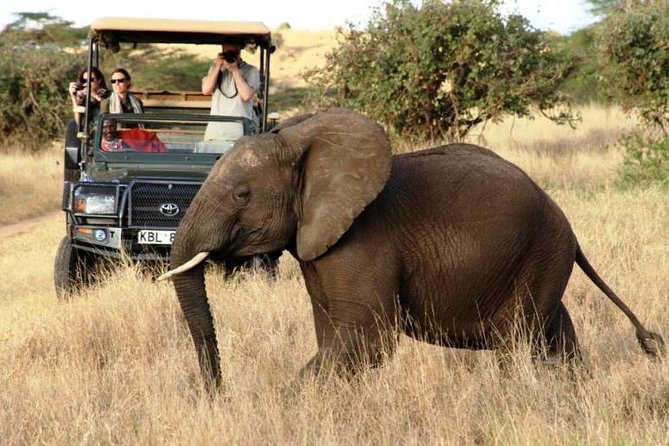 5 Days Kenya Masai Mara and Lake Nakuru Private Tour - What the private format gives you