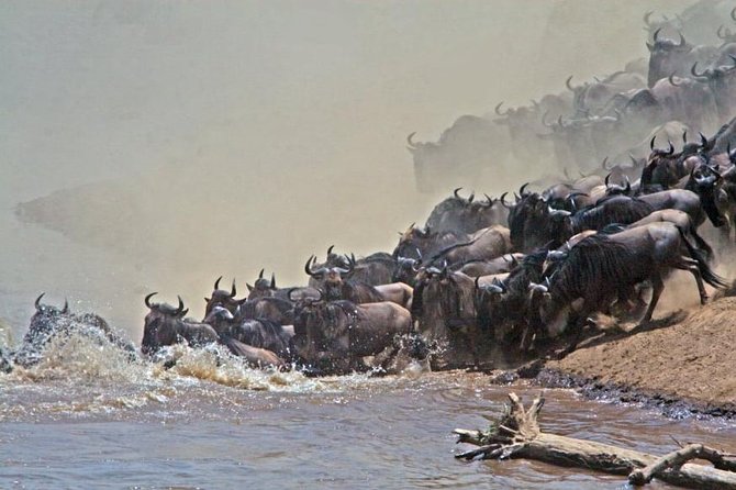 5 days Kenya Safari Expedition - Why this five-day route works