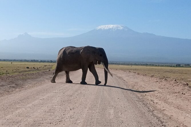 5 Days Lake Naivasha, Lake Nakuru, & Masai Mara - Day 1: Rift Valley views and Lake Naivasha