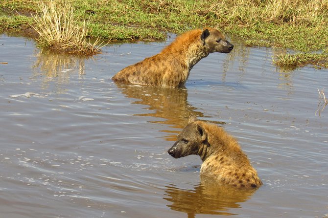 5 Days Lake Nakuru-Lake Naivasha & Maasai Mara Safari - Day 2: Cycling and walking through Hell’s Gate