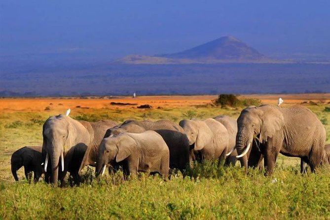 5 Days Maasai mara, Lake Nakuru, samburu private lodge safari - Why this route works, and where it asks something of you