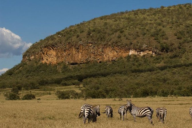 5 Days Maasai mara, Lake Nakuru, samburu private lodge safari - Day 2: A full day among Mara lions and river wildlife