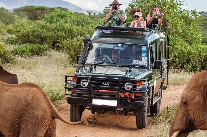 5 Days Mombasa,Tsavo East, Taita Salt Lick, Tsavo West, Amboseli, - Five details that shape the experience
