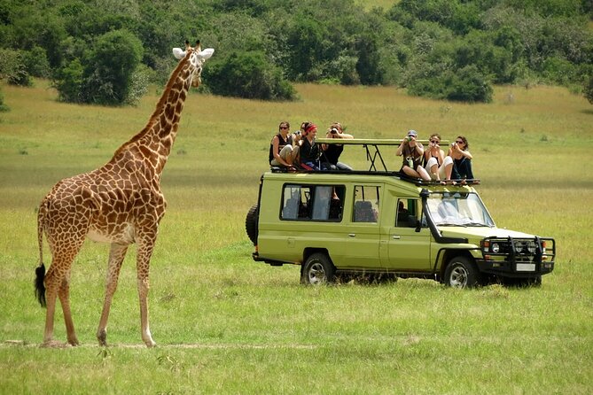 5 Days Mombasa,Tsavo East, Taita Salt Lick, Tsavo West, Amboseli, - Day 4: Mzima Springs and Amboseli beneath Kilimanjaro