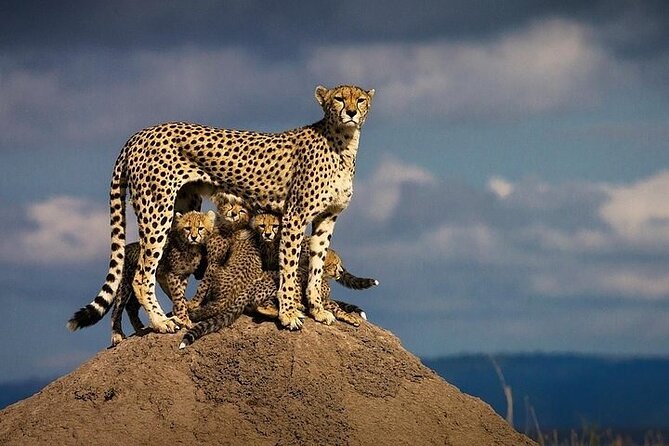5 Days Mombasa,Tsavo East, Taita Salt Lick, Tsavo West, Amboseli, - What the $2,575 price really covers