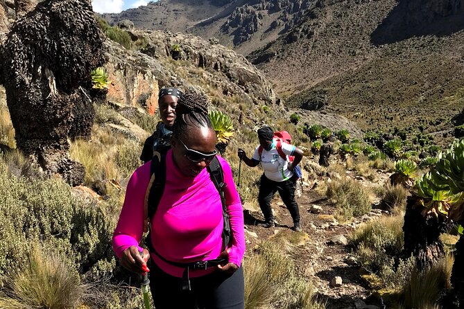 5 Days Mt. Kenya Sirimon route out Chogoria Route with Peak Circuit - What $960 Includes, and Where You Still Pay