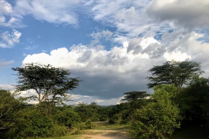 5 Days Mt. Kenya Sirimon route out Chogoria Route with Peak Circuit - The Support Team Makes a Real Difference