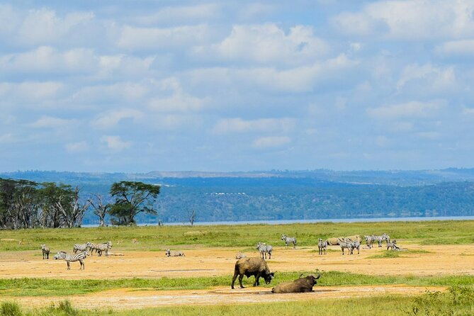 5 Days of Kenyan Magic: A Whirlwind Safari Adventure - Day 5: Naivasha, Hell’s Gate, and the return to Nairobi