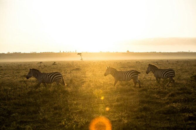 5 Days of Kenyan Magic: A Whirlwind Safari Adventure - Guides, service, and the small-group advantage