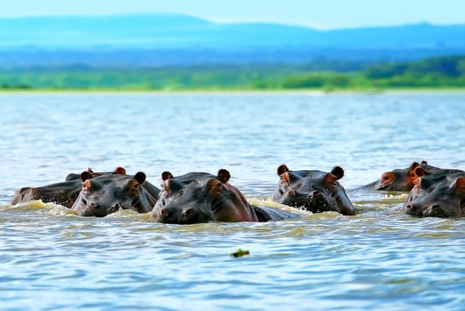 5 Days safari to Maasai Mara ,Lake Nakuru and Hell's gate national park - Five useful things to know before booking