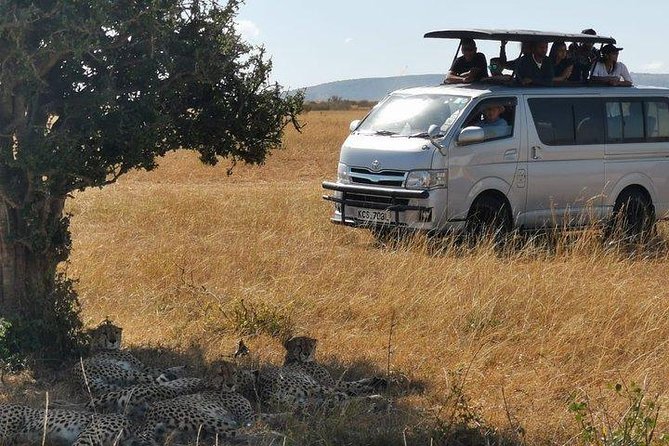 5 Days safari to Maasai Mara ,Lake Nakuru and Hell's gate national park - Two full wildlife periods in Maasai Mara