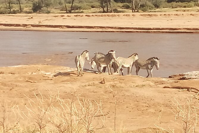 5 Days Safari to Samburu N/R Ol Pejeta Conservancy Hells Gate N/P, Lake Naivasha - Day 1: From Nairobi farms to Samburu’s dry country