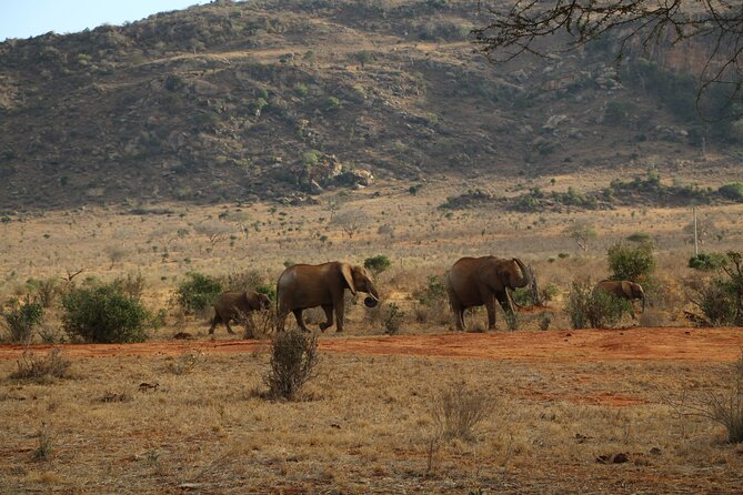 5 Days safari to Tsavo East, Tsavo West and Saltlick from Mombasa - Day 2: Lugard’s Falls, red roads, and an eight-hour game drive