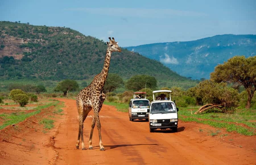 5 days safari to Tsavo East, West & Amboseli from Mombasa - Key points to know before booking