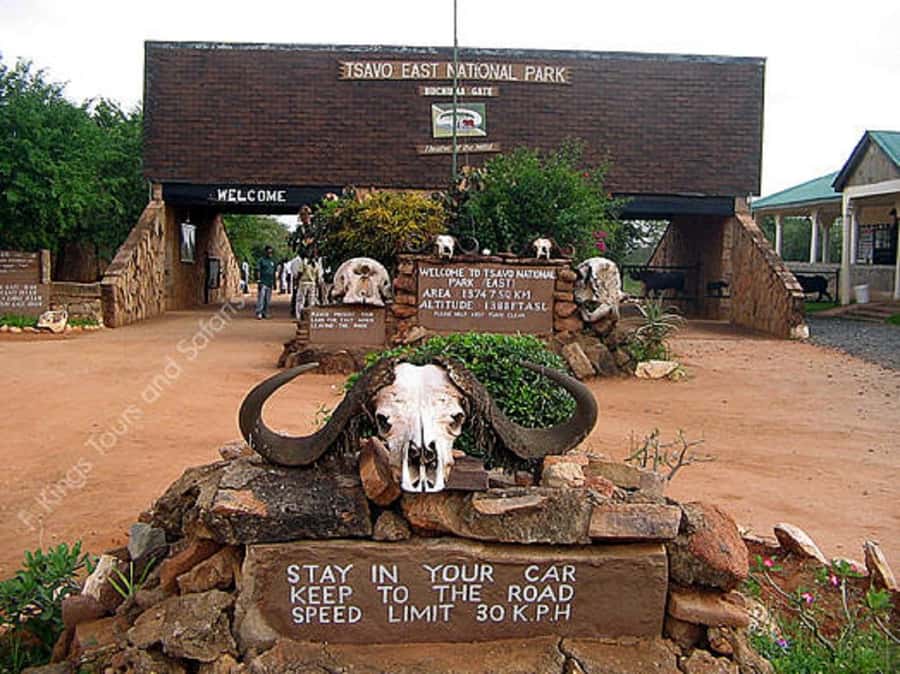 5 days safari to Tsavo East, West & Amboseli from Mombasa - Day 5: A final game drive before Mombasa
