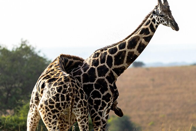 5 Days Tour at East Africa Safari Lake Nakuru and Lake Naivasha - Day 5: Hell’s Gate by bike, trail, or on foot