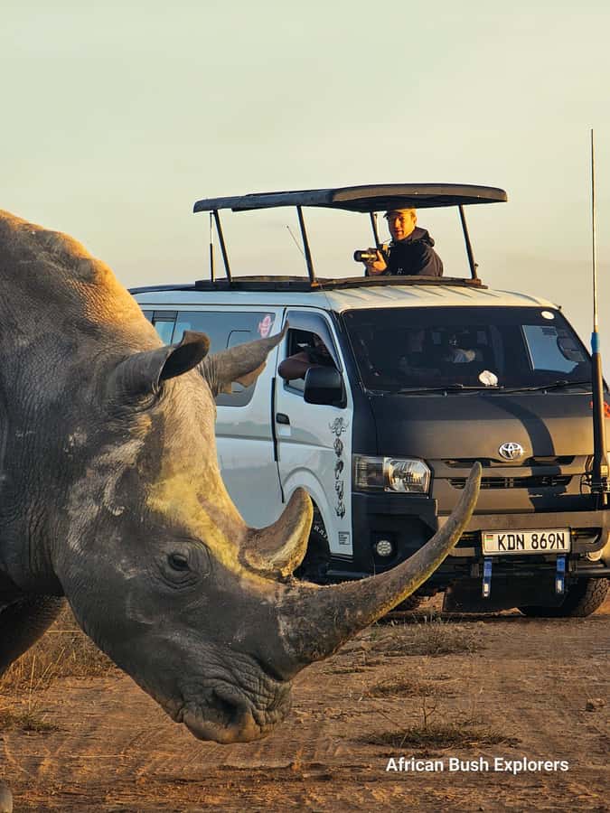 5-Hour Nairobi National Park 4x4 Safari with Free Pickup - Why Nairobi National Park makes a smart half-day safari