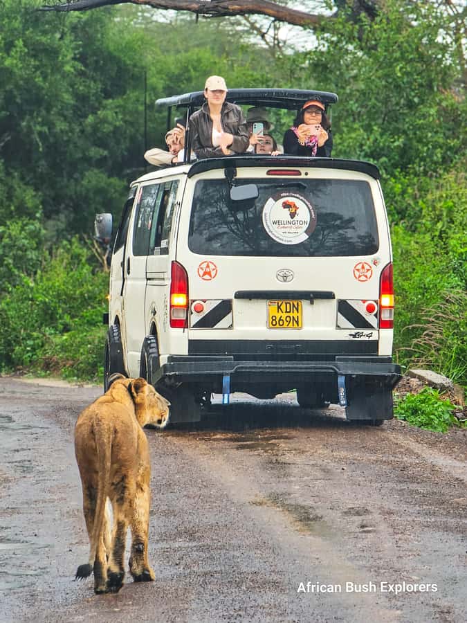 5-Hour Nairobi National Park 4x4 Safari with Free Pickup - Shared, small-group, or private safari