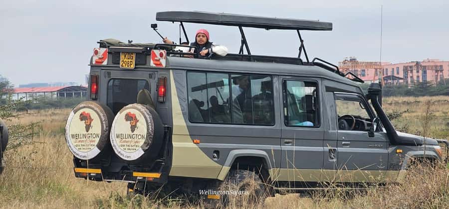 5-Hour Nairobi National Park 4x4 Safari with Free Pickup - Conservation and the Ivory Burning Site