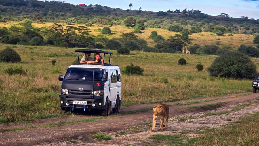 5-Hour Nairobi National Park 4x4 Safari with Free Pickup - Pickup and the ride into the park