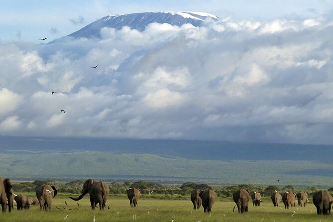 5days Tour Tsavo East & west, Amboseli from Mombasa / Nairobi - Day one: entering Tsavo East from Mombasa