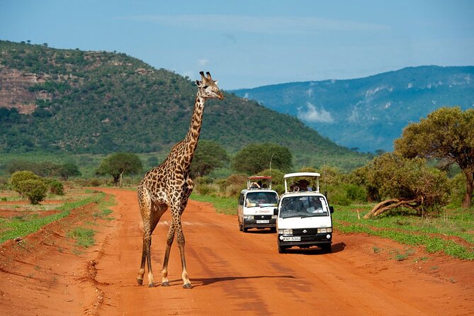 5days Tour Tsavo East & west, Amboseli from Mombasa / Nairobi - Day five: returning toward Nairobi or the coast