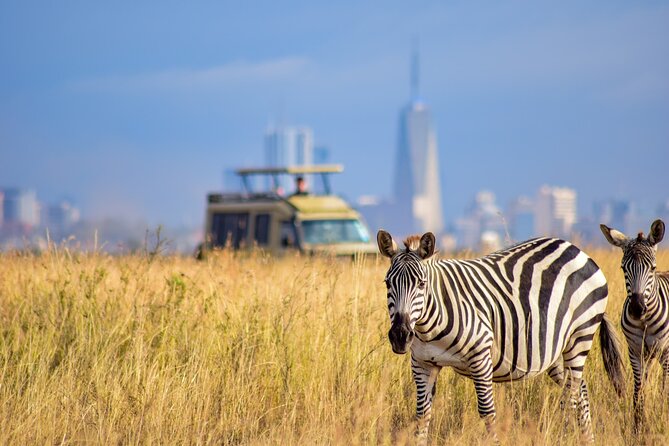 5Hrs Nairobi National Park MorningEvening gamedrive 4x4 vehicle - Who should book this half-day safari?