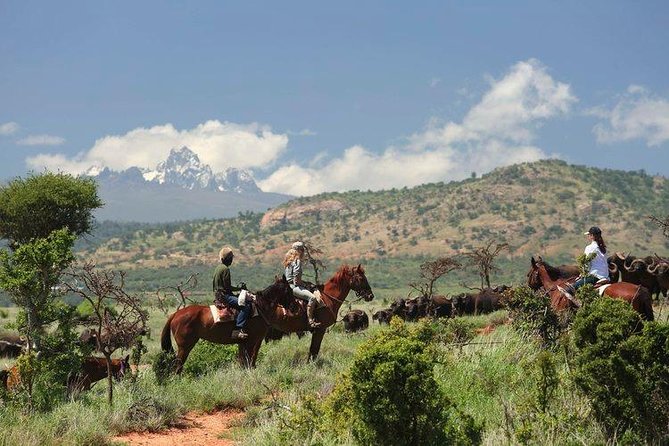 6 Day best of mid northern Kenya - Key points to know before booking