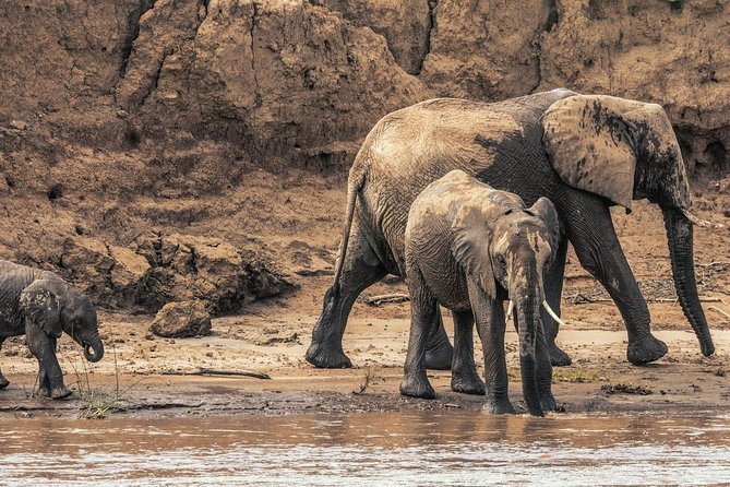 6 Day best of mid northern Kenya - Day three: from northern plains to Aberdare forest