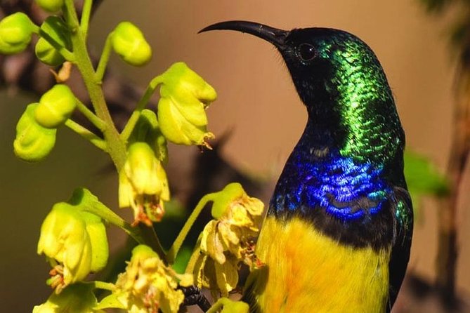 6 Day best of mid northern Kenya - What $1,895 per person really buys