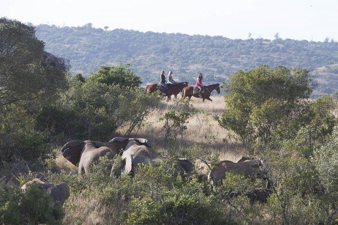 6 Day best of mid northern Kenya - Day two: rare animals and Samburu culture