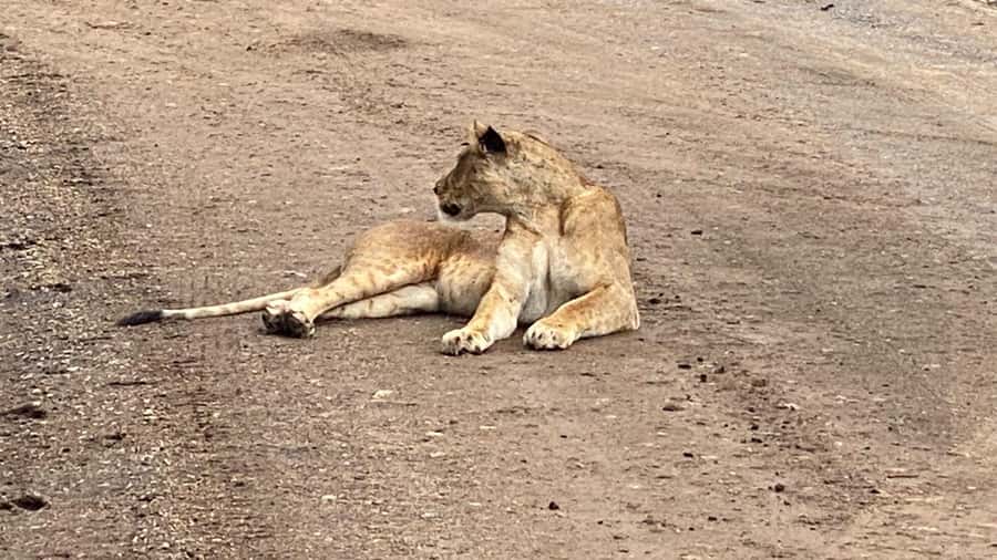 6-Day kenya safari to Amboseli and Tsavo west & East. - What the $860 price really covers