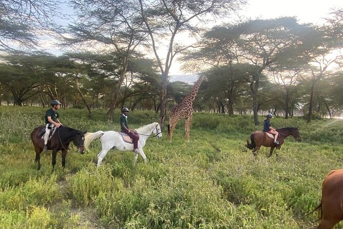 6 Day Nairobi-Amboseli-Maasai Mara Private Semi Luxury Tour - What the $3,040 price really buys you