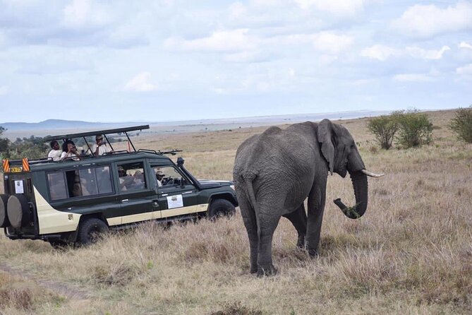 6 Day Nairobi-Amboseli-Maasai Mara Private Semi Luxury Tour - Day 6: One last drive and the Mau Escarpment