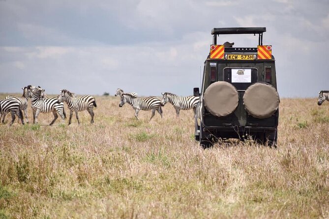 6 Day Nairobi-Amboseli-Maasai Mara Private Semi Luxury Tour - The private vehicle and guide question
