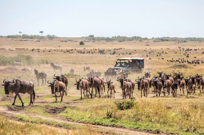 6-Day Private Landcruiser Safari to Masai Mara, Nakuru & Amboseli - Day 1: Nairobi to Masai Mara via the Great Rift Valley