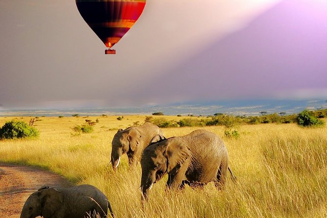 6 Days /5 Nights Adventure in Masai Mara,Lake Nakuru, Amboseli - What the $1,375.20 price covers