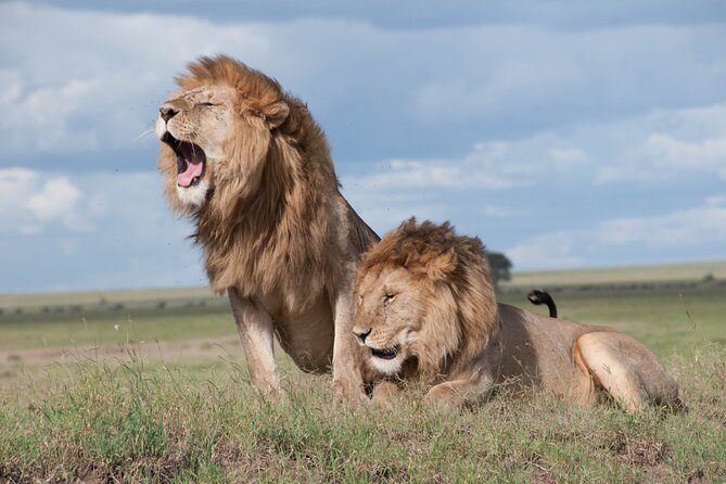 6 Days Amboseli, Lake Naivasha and Masai Mara Adventure - Day 3: Lake Naivasha’s birds, papyrus, and hippos