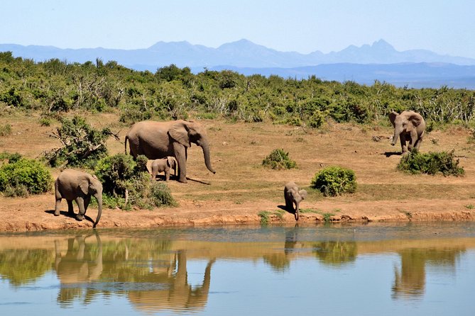 6 Days Amboseli, Nakuru Masai Mara Safari - What the $1,373.89 price really buys