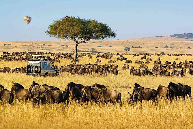 6 Days Group Multi Day Tour Masai Mara Lake Nakuru and Amboseli - Why this Kenya safari route works